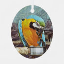 Recherche de perroquet bleu ornements Oiseaux