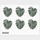 Recherche de monstera autocollants Vert