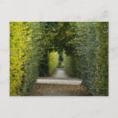 Recherche de cindy cartes postales Vert