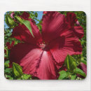 Recherche de blue sky tapis souris Fleur