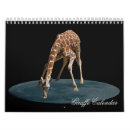 Recherche de copie de calendriers Animal