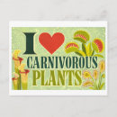 Recherche de plantes carnivores cartes postales Dessin