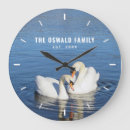 Recherche de cygne horloges Nature