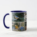 Recherche de oiseau jardin tasses Observation des oiseaux