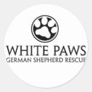 Recherche de berger blanc autocollants Allemand