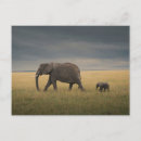Recherche de animaux cartes postales Famille d'animaux