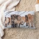 Recherche de islandais coussins Bétail