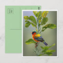 Recherche de arbres abstraits cartes postales Nature