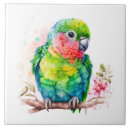 Recherche de perroquet bleu carreaux Oiseau