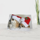 Recherche de chiwawa noël cartes Image de couleur