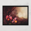 Recherche de orchidée rose cartes postales Colibri