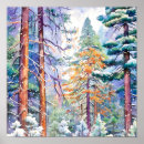 Recherche de pine forest posters Forêt de pins