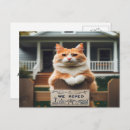 Recherche de chat orange et blanc invitations Pour tous