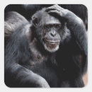 Recherche de funny animal autocollants Zoo