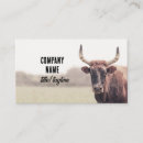 Recherche de vaches cartes visite Pays