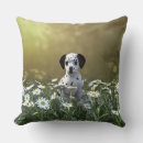 Recherche de champ de marguerite coussins Mignon