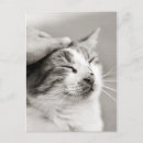 Recherche de la caresse cartes postales Pour tous