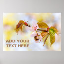 Recherche de de cerise posters Hanami