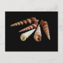 Recherche de spirale cartes postales Vie
