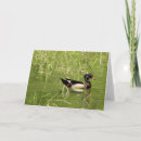 Recherche de mâles vœux cartes Nature
