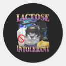 Recherche de citation drôle de chat autocollants Meilleur