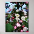 Recherche de fleurs de ressort posters Flore