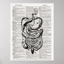 Recherche de medical art Vintage