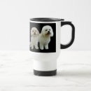 Recherche de bichon tasses Frise de bichon