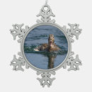 Recherche de bec ornements Faune