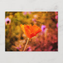 Recherche de pour le mur cartes cartes postales Floral