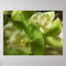 Recherche de orchidée posters Décoration