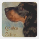 Recherche de gordon setter autocollants Animal