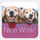 Recherche de fenêtre autocollants Chien