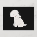 Recherche de triceratops cartes postales Stégosaurus