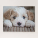 Recherche de animal bébé puzzles Mignon