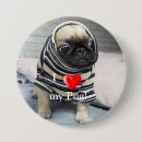 Recherche de pug accessoires Carlin