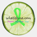 Recherche de maladie lyme autocollants Conscience