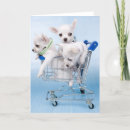 Recherche de chiot de chiwawa vœux cartes Animaux