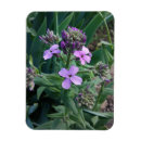Recherche de violet magnets Printemps