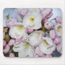 Recherche de mousepad de cerise électronique Sakura