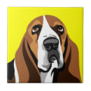Recherche de basset hound carreaux Limier