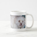 Recherche de lhasa apso tasses Mignon