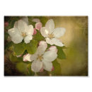 Recherche de groupes photographie Fleur