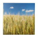 Recherche de croissance carreaux Image de couleur