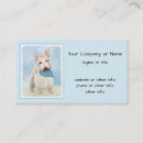 Recherche de scot cartes visite Terrier écossais
