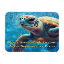 Recherche de tortue magnets Bleu