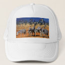 Recherche de uniques casquettes Motivation