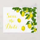Recherche de jaune citron cartes postales Mariée