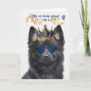 Recherche de schipperke vœux cartes Chien