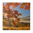 Recherche de montagne carreaux Brouillard